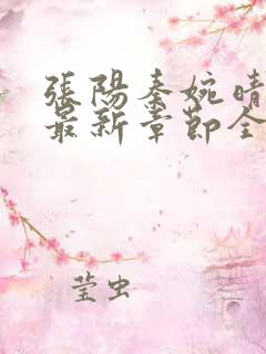 张阳秦婉晴小说最新章节全文免费阅读下载