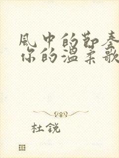 风中的节奏就像你的温柔歌名是什么