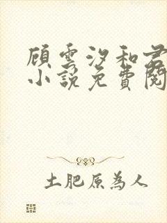 顾云汐和君夜玄小说免费阅读