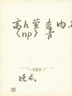 高h荤爽肉欲文〈np〉青
