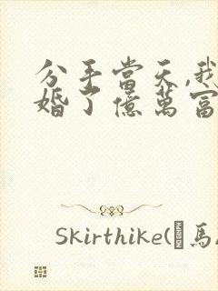 分手当天,我闪婚了亿万富豪小说阅读