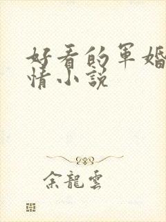 好看的军婚类言情小说
