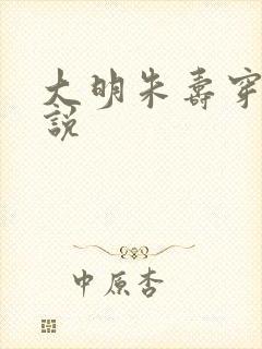 大明朱寿穿越小说