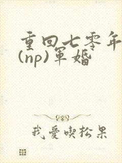 重回七零年代文(np)军婚