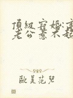 顶级宠婚:高冷老公惹不起