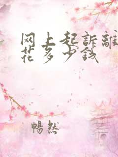 网上起诉离婚要花多少钱