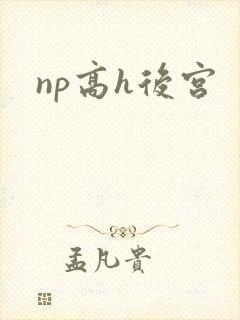 np高h后宫