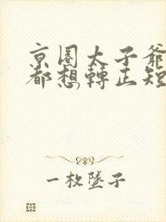 京圈太子爷每天都想转正短剧免费全集