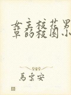 女主校花男主校草的校园小说