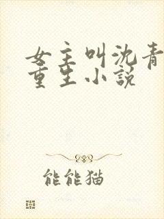 女主叫沈青青的重生小说