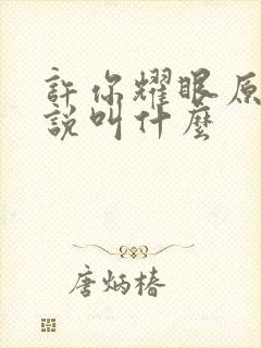 许你耀眼原著小说叫什么