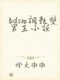 bdsm调教双男主小说
