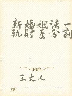 新婚姻法一方出轨财产分割