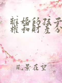 离婚的孩子抚养权和财产分割