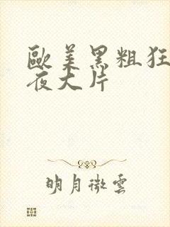 欧美黑粗狂欢午夜大片