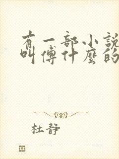 有一部小说男主叫傅什么的