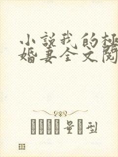 小说我的极品未婚妻全文阅读