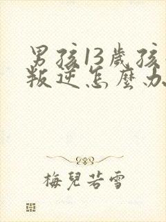 男孩13岁孩子叛逆怎么办