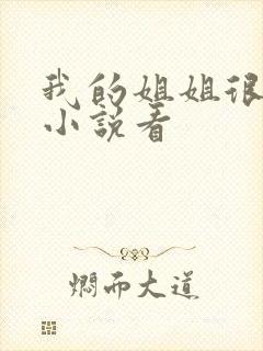 我的姐姐很弟控小说看