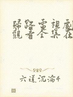 归路电视剧免费观看全集在线播放