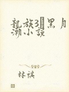 龙族3·黑月之潮小说