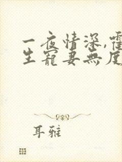 一夜情深,霍先生宠妻无度全本下载