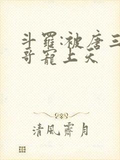 斗罗:被唐三哥哥宠上天