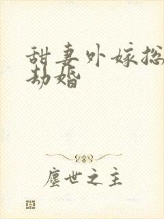 甜妻外嫁总裁要劫婚