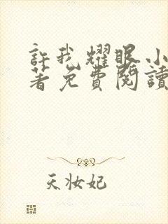 许我耀眼小说原著免费阅读