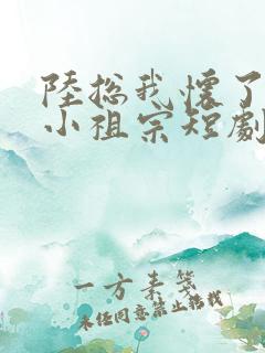 陆总我怀了你的小祖宗短剧免费观看