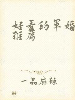 好看的军婚小说推荐