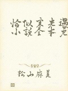 恰似寒光遇骄阳小说全本免费下载