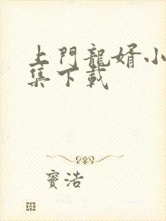 上门龙婿小说全集下载