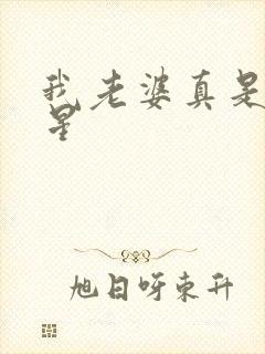 我老婆真是大明星