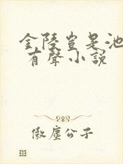 金陵岂是池中物 有声小说