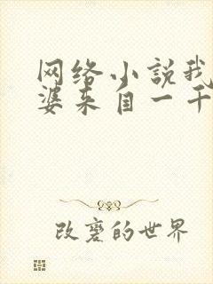 网络小说我家老婆来自一千年前