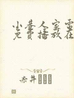 小巷人家电视剧免费播放在线观看