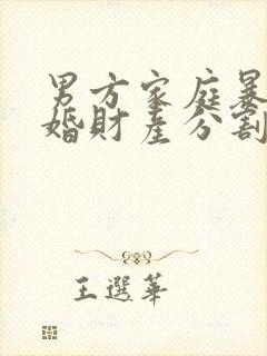 男方家庭暴力离婚财产分割