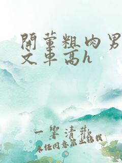 开荤粗肉男男腐文车高h