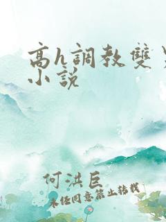 高h调教双男主小说