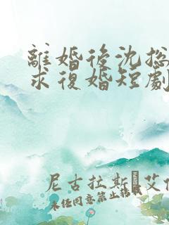 离婚后沈总天天求复婚短剧免费观看