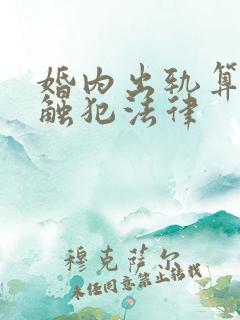 婚内出轨算不算触犯法律