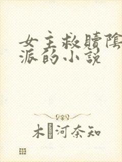 女主救赎阴暗反派的小说