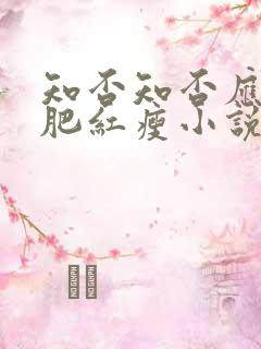 知否知否应是绿肥红瘦小说好看吗