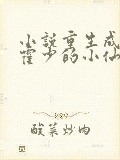 小说重生成偏执霍少的小仙女