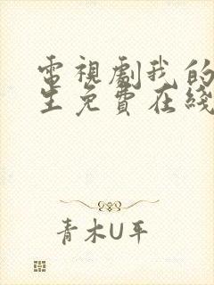 电视剧我的后半生免费在线观看