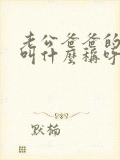 老公爸爸的弟弟叫什么称呼