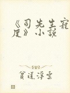 《司先生宠妻无度》小说