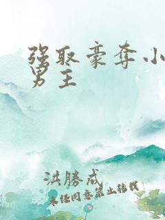 强取豪夺小说双男主