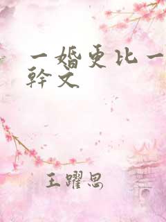 一婚更比一婚高干文